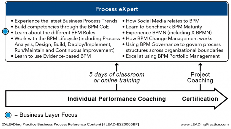 The Process eXpert learning model.